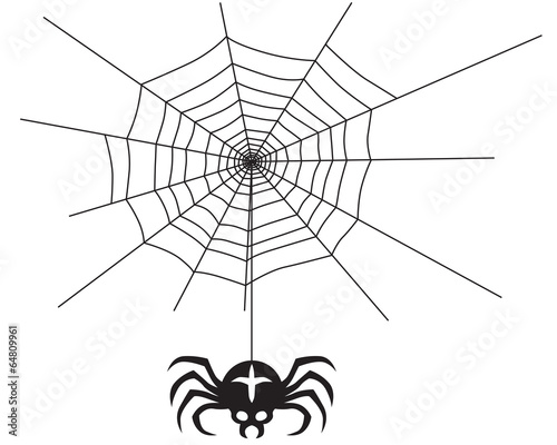 Spider and spider web