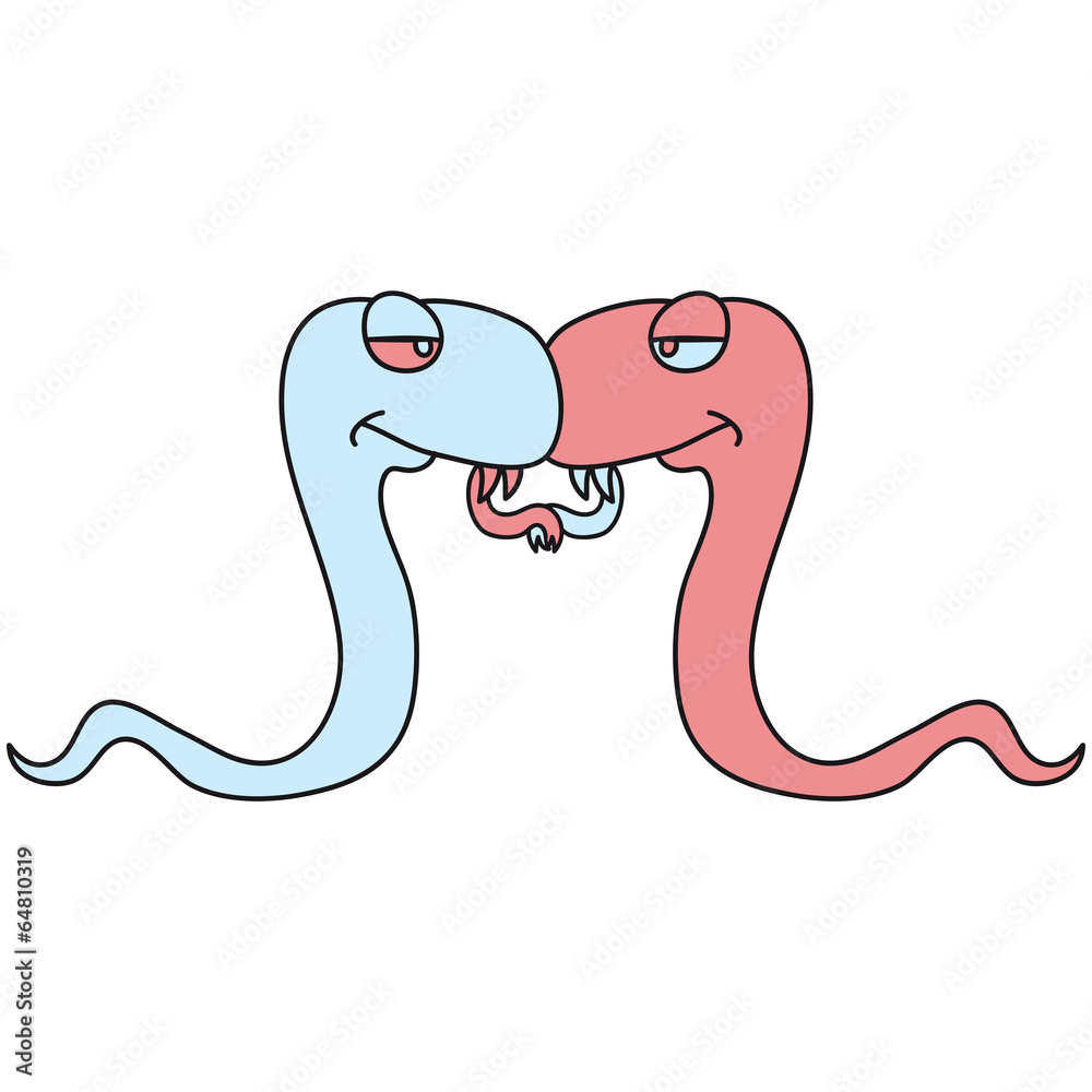 Fototapeta premium Schlangen Paar Liebe Spermien