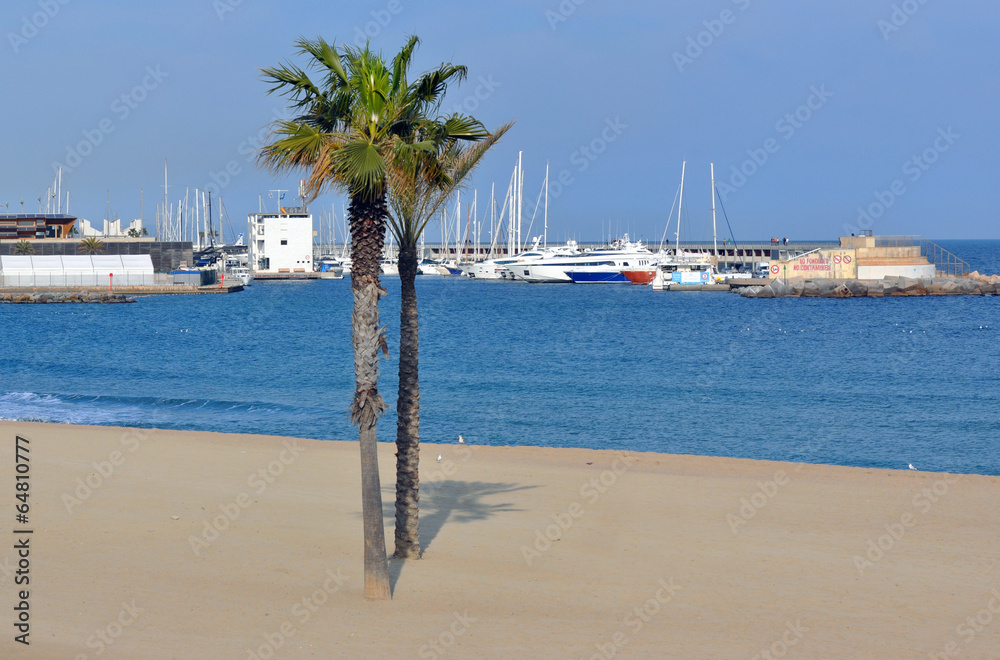 Barcelona - the sea and palm trees