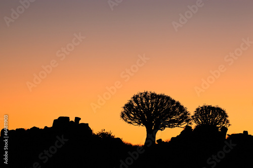 Quiver tree silhouettes