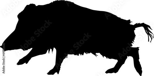 wildschwein