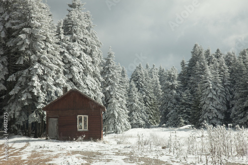 cabin in the Bolu mountains © lindacaldwell
