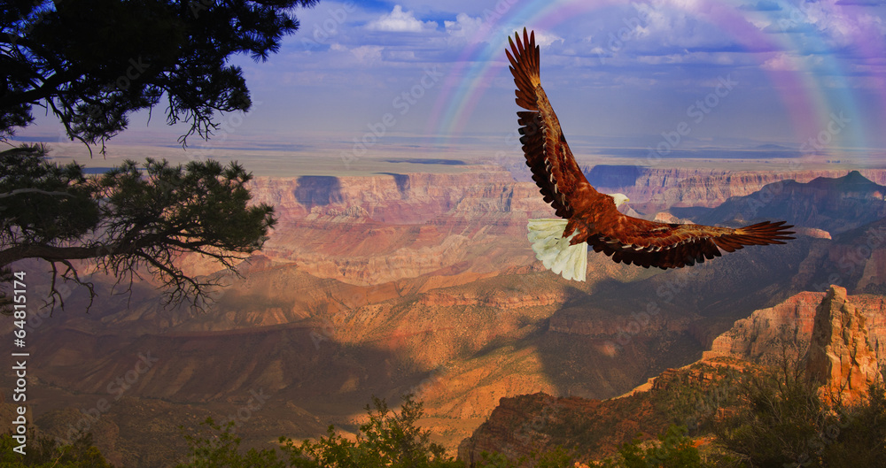 Eagle takes flight over Grand Canyon USA - obrazy, fototapety, plakaty 