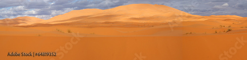 Sand dunes in panoramic overview