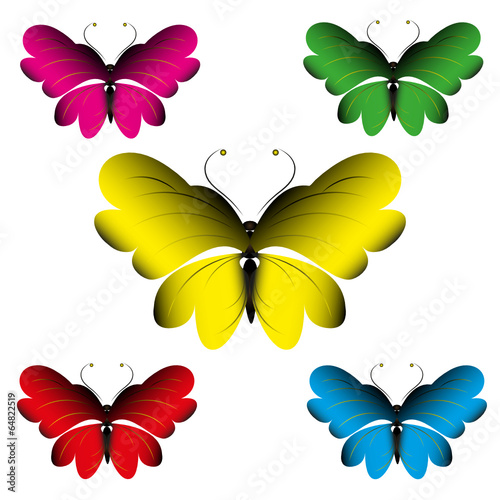 Schmetterling