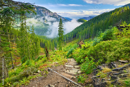 Mountain trail at the forest. The Tatra Mountains, Carpathians.