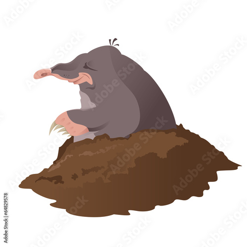 Vector image of smiling cartoon grey mole