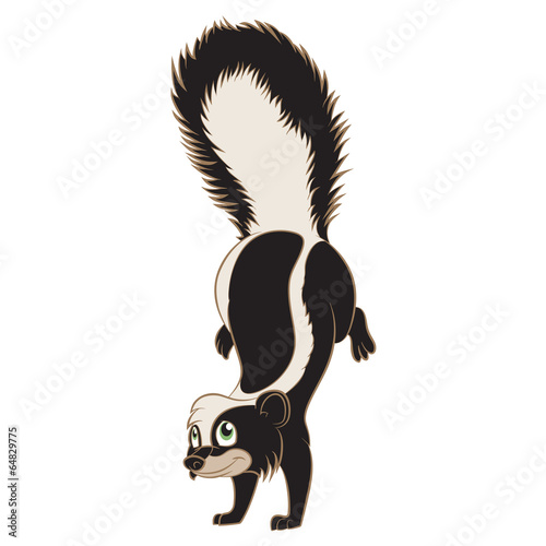 Cartoon Skunk