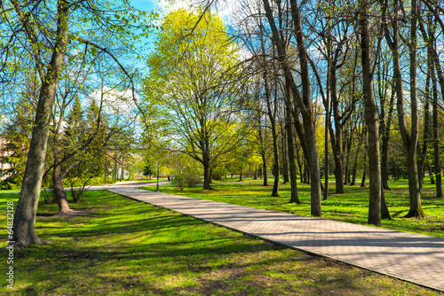 city ​​park in spring sunny day
