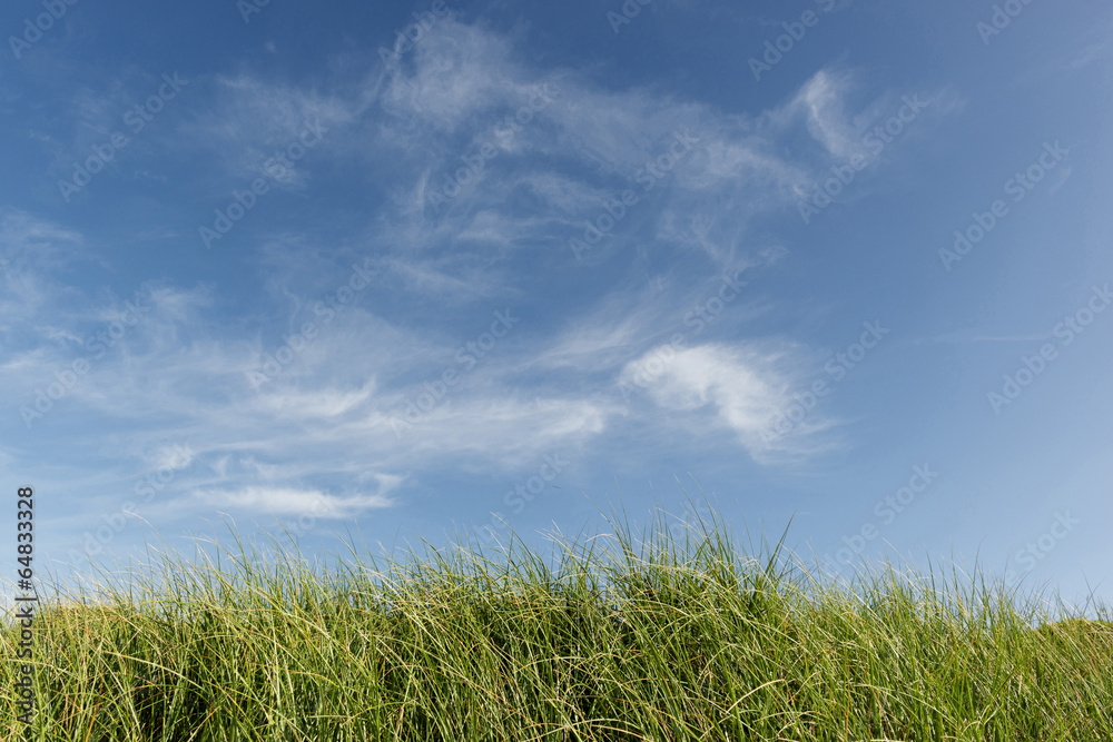 blue sky, clouds and green grass blue sky, clouds and green grass