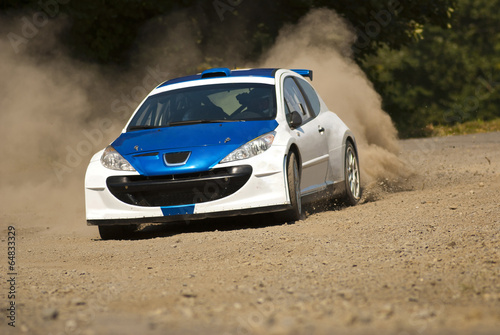 Rally car in action - Peugot 206 S2000