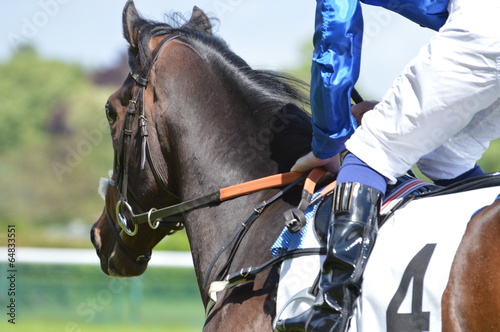 chevaux de course photo