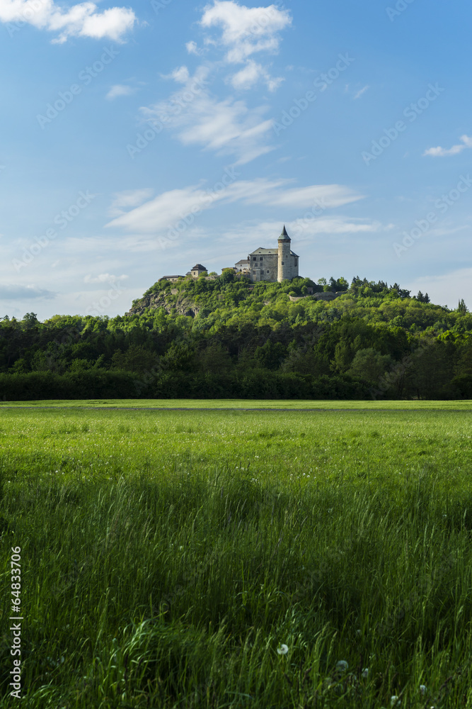 Kuneticka Castle Mountain as seen from the Elbe