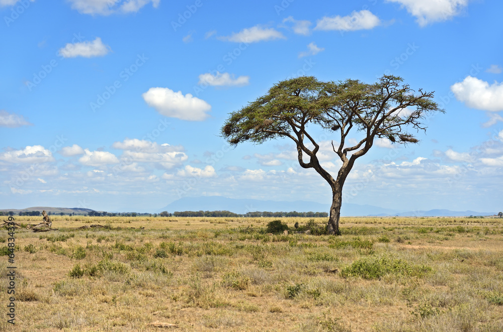 Amboseli National Park