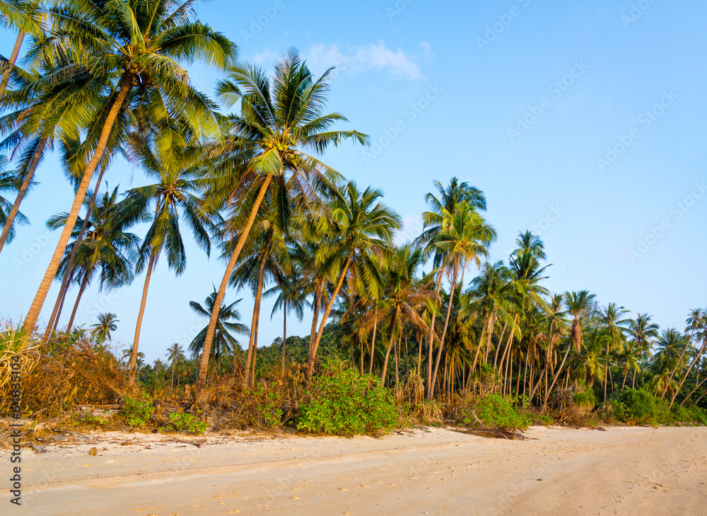 Untouched tropical beach Untouched tropical beach
