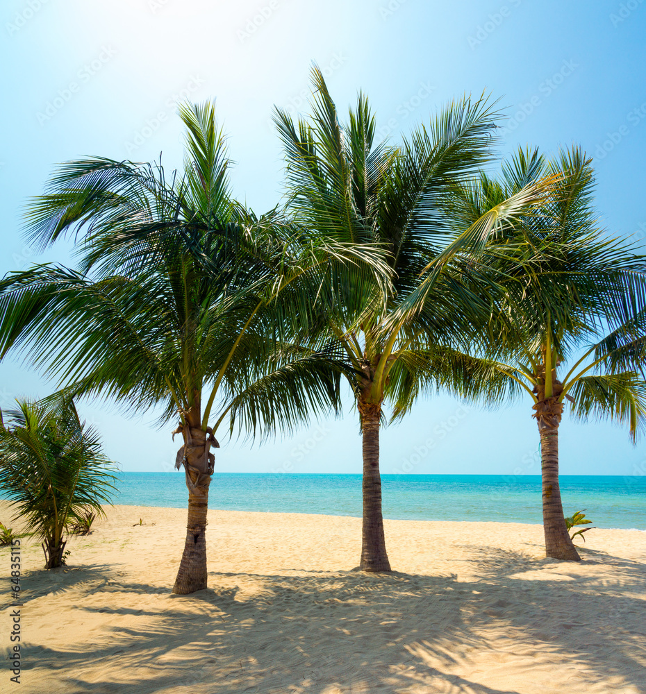 Fototapeta premium Untouched tropical beach