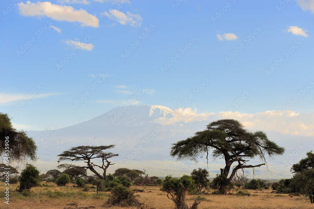 Kilimanjaro