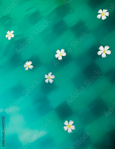 spa background of flowers