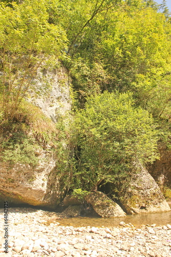 Green landscape of Slovenia photo