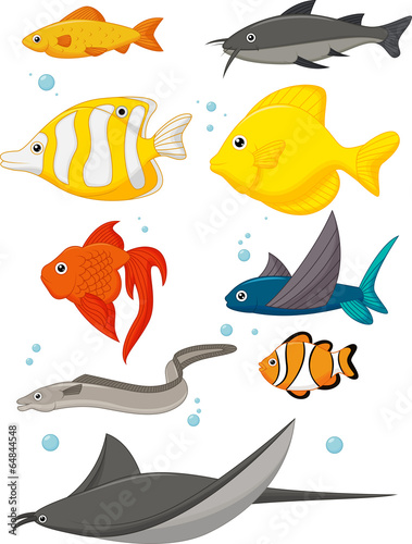 Water Life Cartoon Set