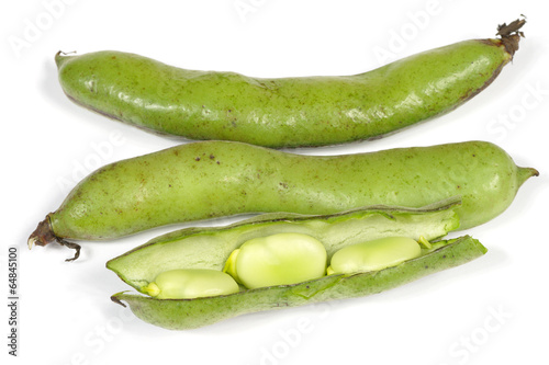 broad beans isolated