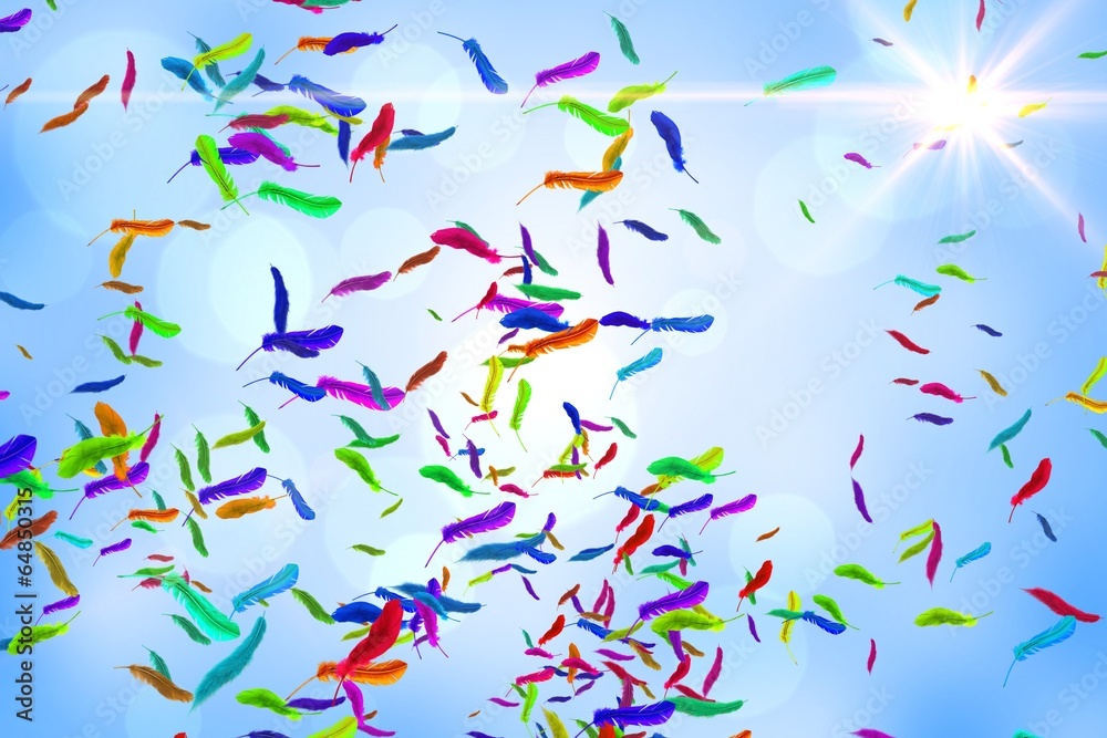 Many feathers blowing in the breeze Many feathers blowing in the breeze