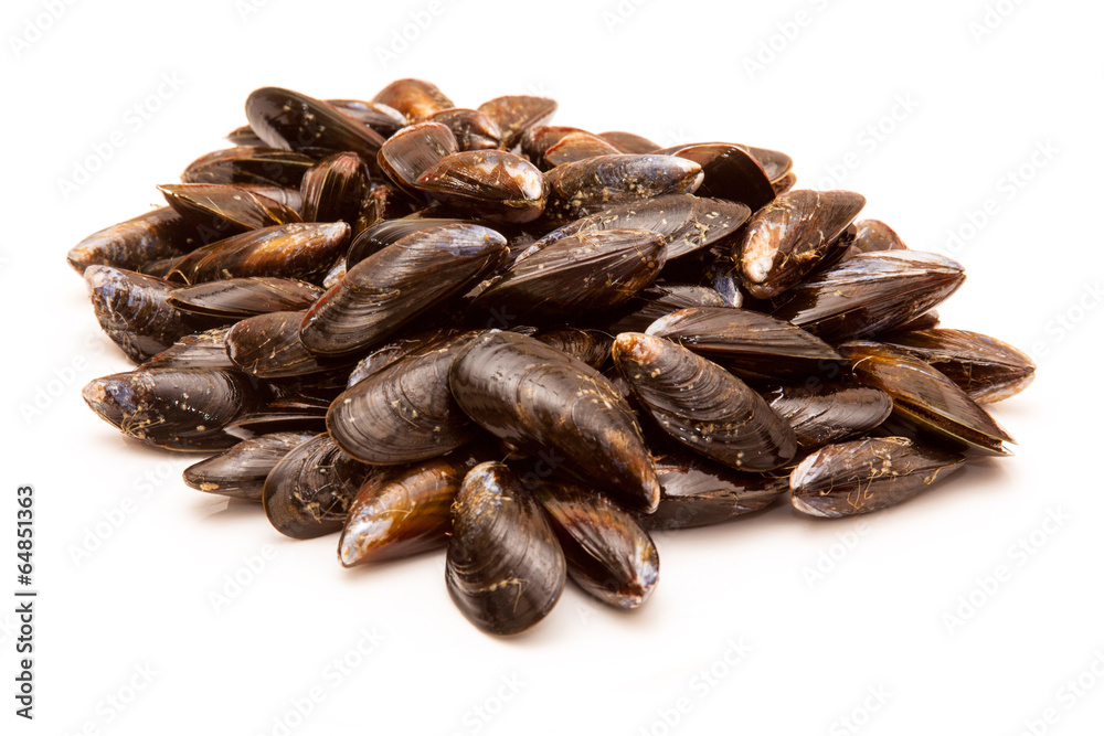 Mussels on a white studio background. Mussels on a white studio background.
