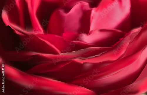 dark red rose flower petals background