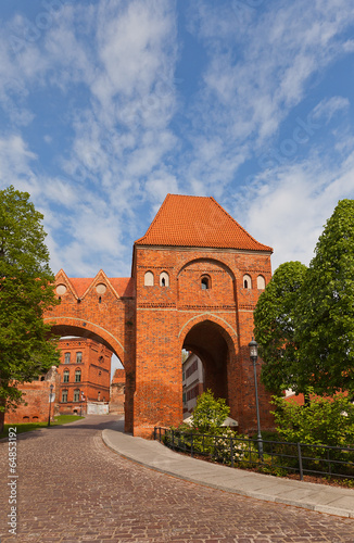 Gdanisko tower (XIV c.) of Teutonic Order castle. Torun, Poland photo