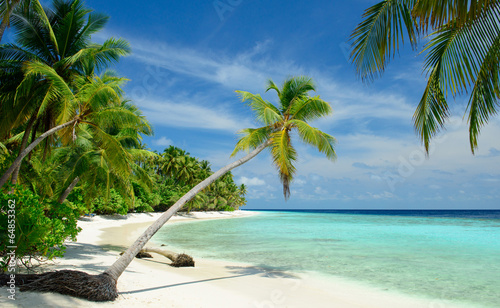 einsamer Strand mit Palmen
