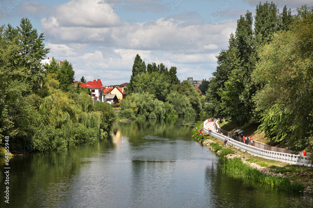 Obraz premium River Crisul Repede in Oradea. Romania
