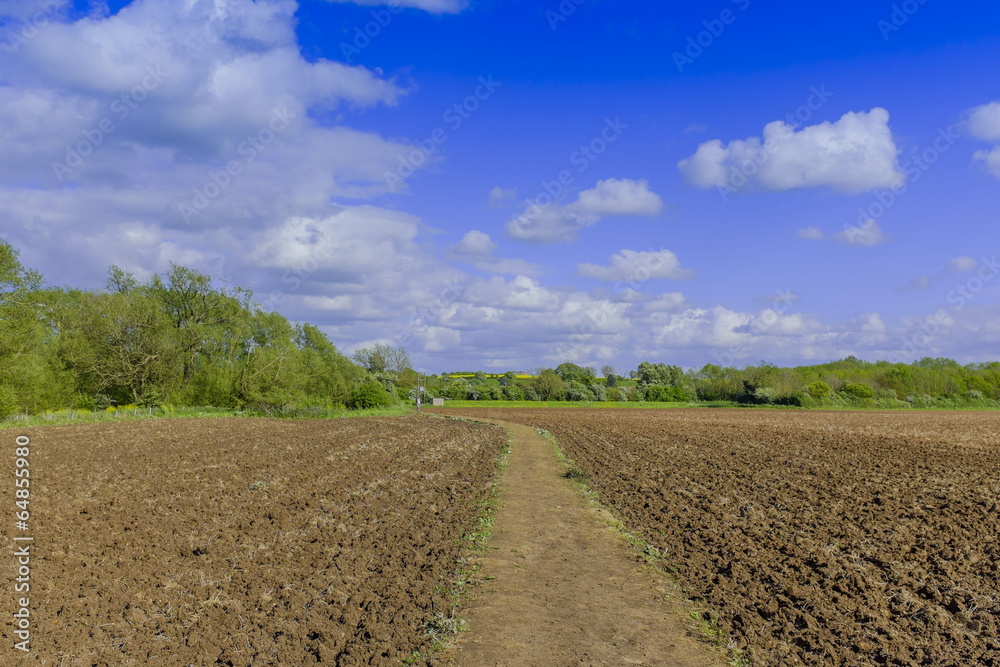 field field