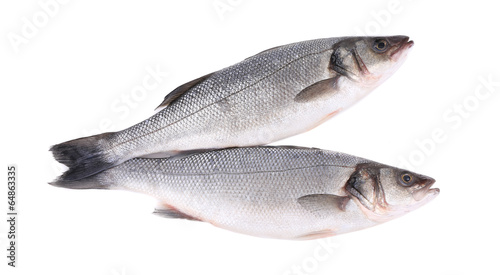 Close up of two fresh seabass fish.