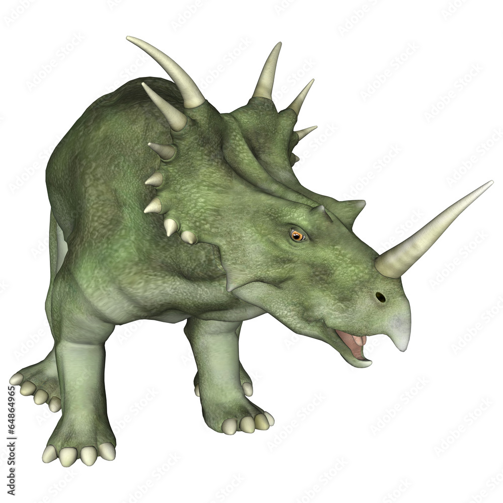 Fototapeta premium Aggressive Dinosaur Styracosaurus