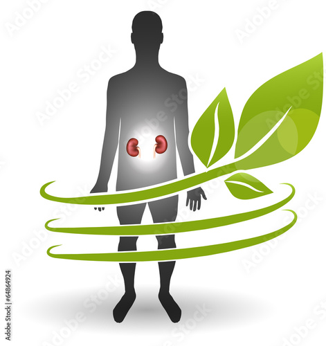 Renal heatlh care concept. Human and kidneys surrounded by green