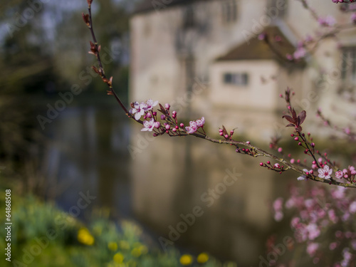 Baddesley Clinton estate photo