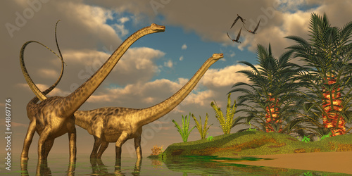 Diplodocus Dinosaur Romance