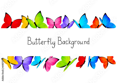 Butterflies frame