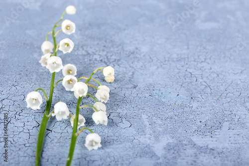 Fototapeta Naklejka Na Ścianę i Meble -  Beautiful lilies of the valley on old wooden background