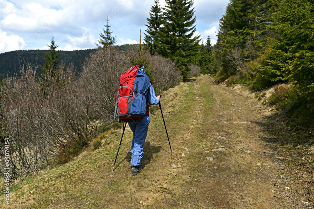 Obraz premium Mountain