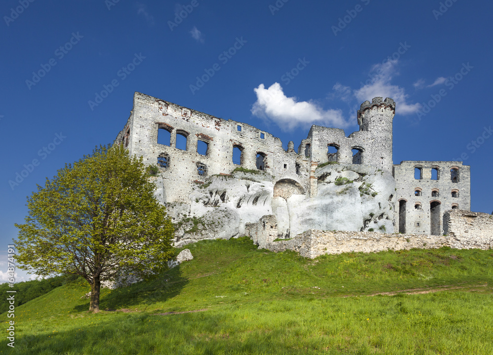 Ruins of a castle, Ogrodzieniec fortifications, Poland.