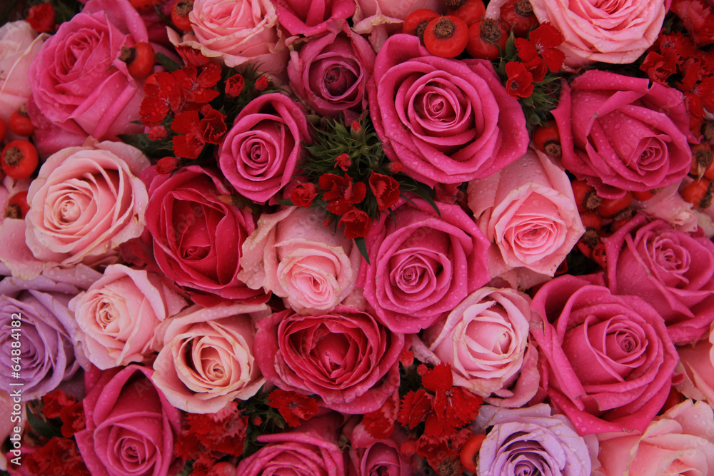 Bridal roses in pink and purple Bridal roses in pink and purple