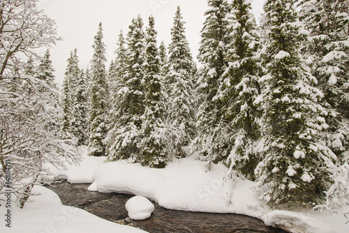 Stream covered in snow photo