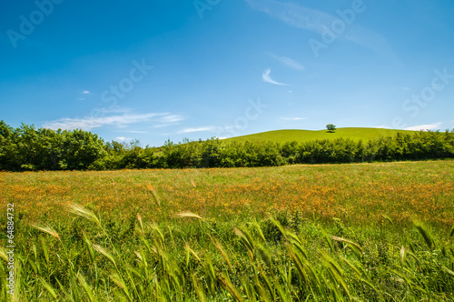 Hills of Tuscany