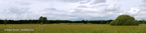 unendliche Sommer Wiese Panorama photo