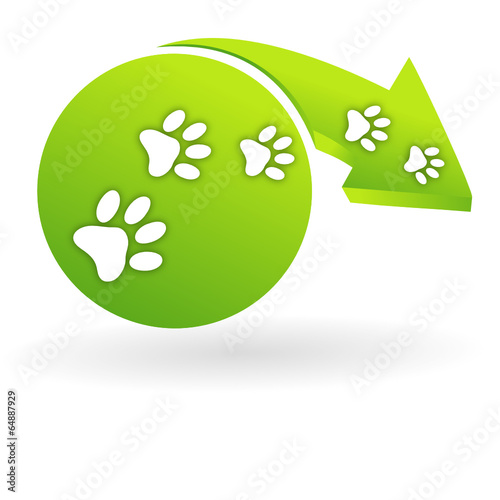 empreintes de chiens sur web symbole vert