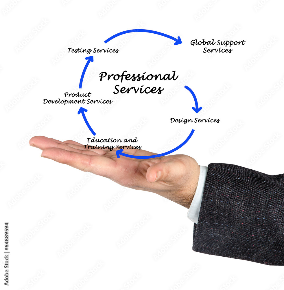 Diagram of professional services Diagram of professional services