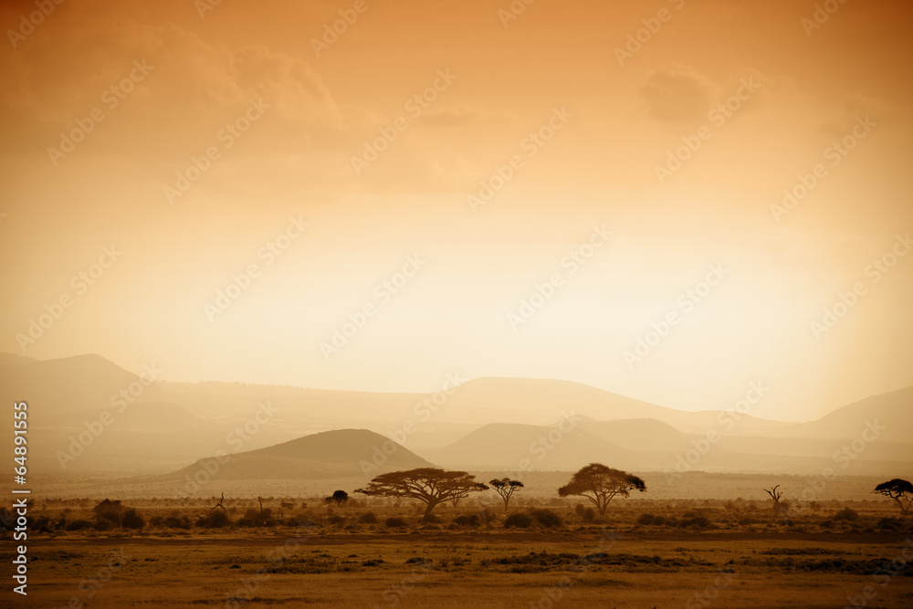 Naklejka premium Afrykańska sawanna o wschodzie słońca