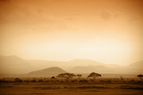 african savannah at sunrise