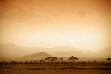 Crédence de cuisine Afrique Savane africaine au lever du soleil  © kubikactive